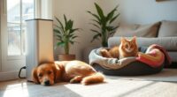 pet friendly air purifiers