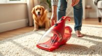 pet friendly portable carpet cleaners