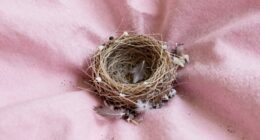 fabric fiber entanglement issue