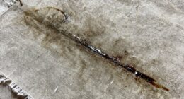 oil stain removal guide