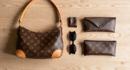 6 Best Louis Vuitton Bags in 2026