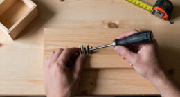 12 Best Multi-Bit Screwdrivers for Students in 2026