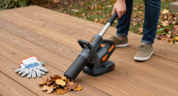 15 Best Cordless Leaf Blowers in 2026