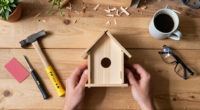 7 Best Woodworking Project Kits For Students In 2026
