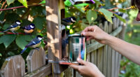 Keep Your Old Paint Can To Build The Easiest Bird Feeder